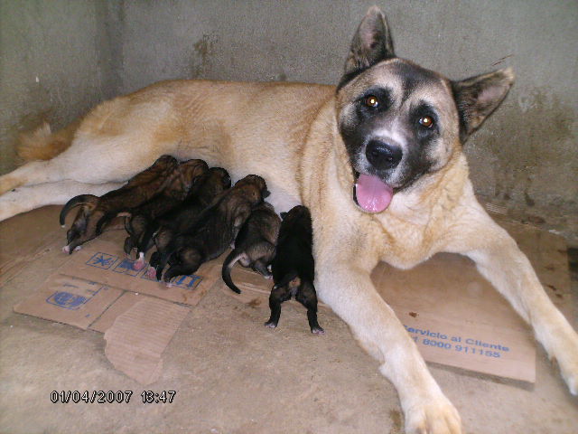 Foto