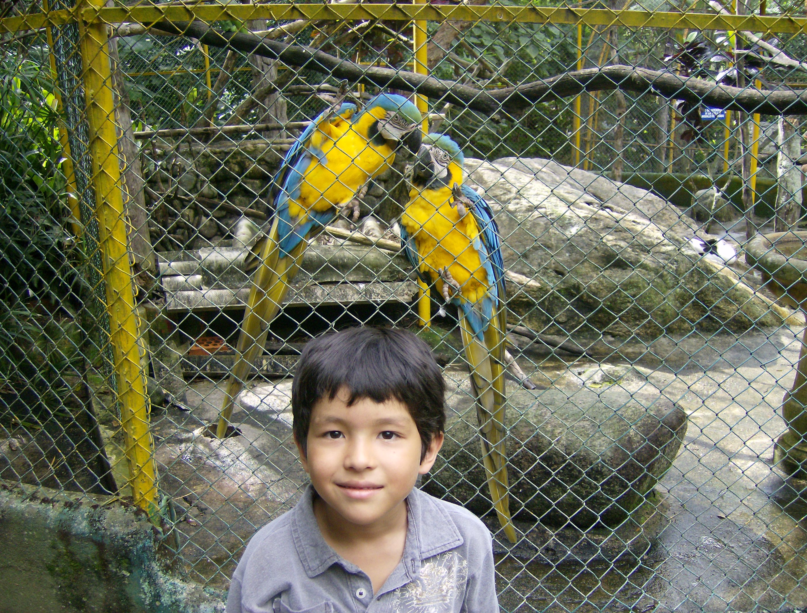Foto