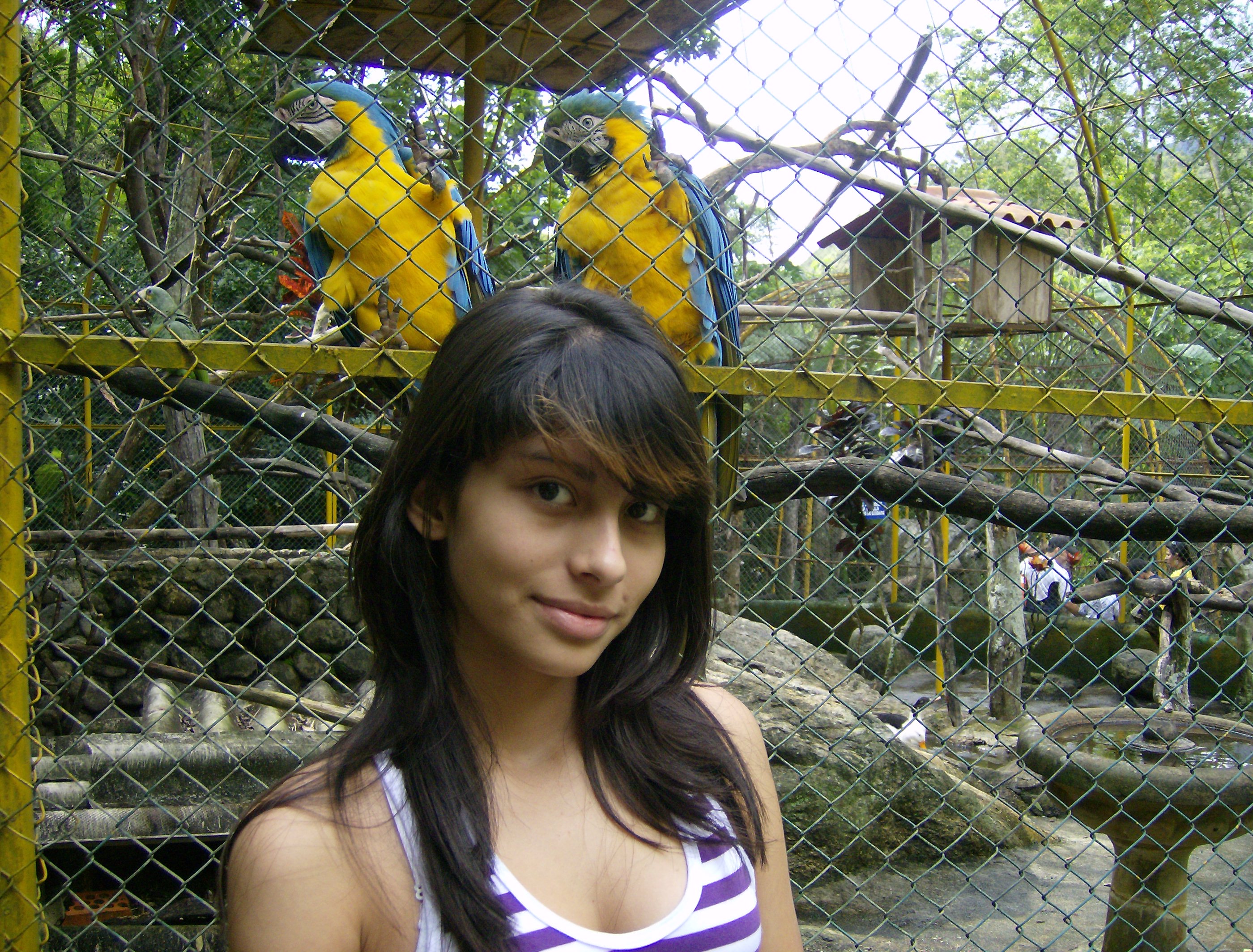 Foto