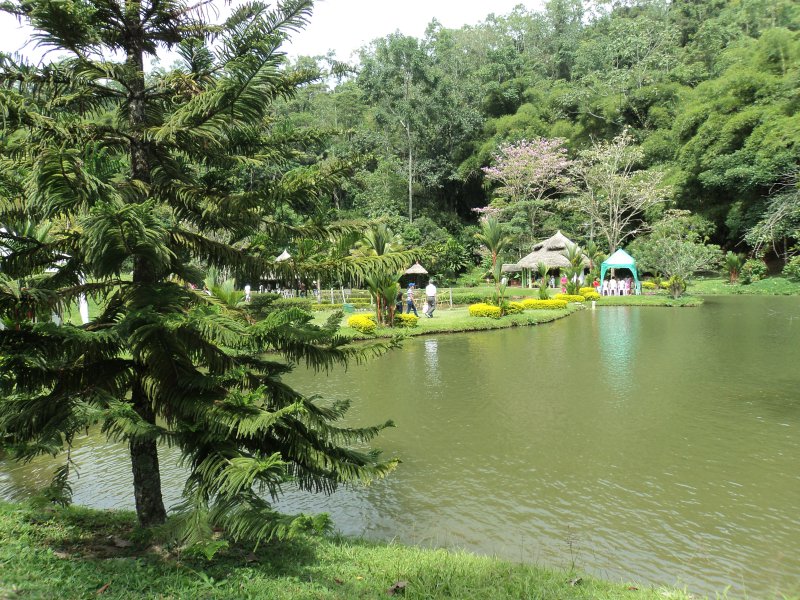 Foto