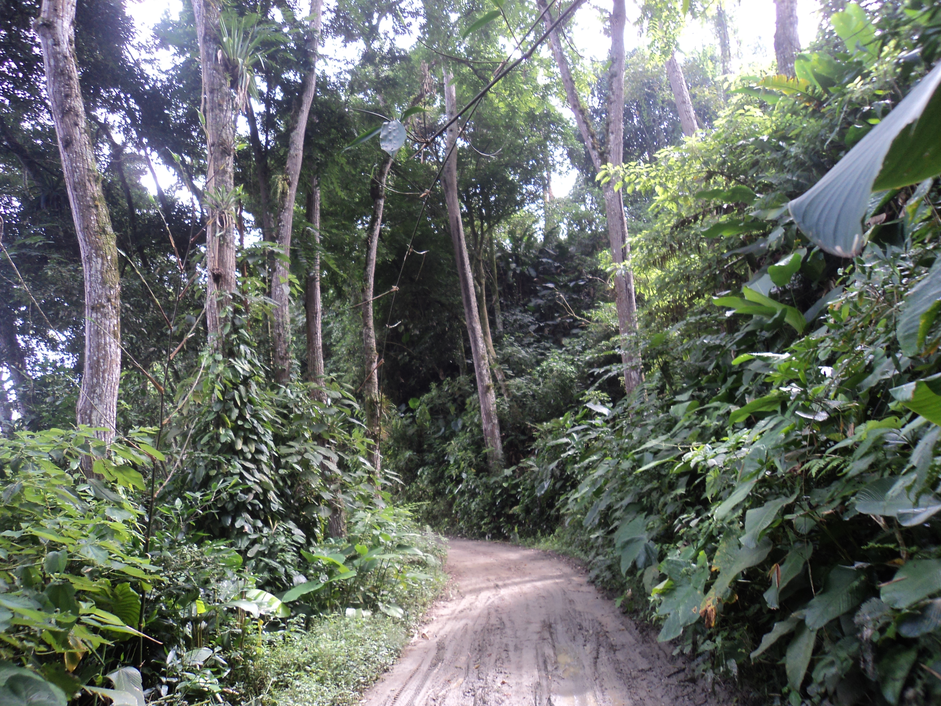 Foto