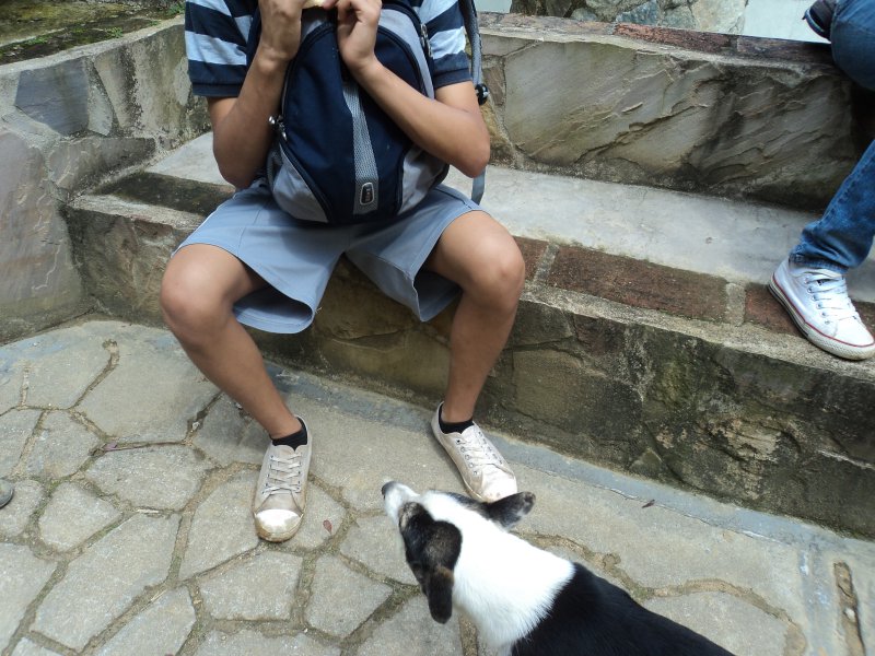 Foto