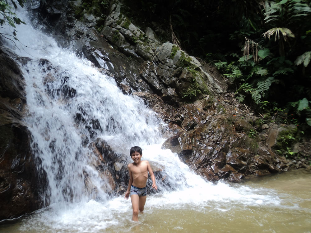 Foto