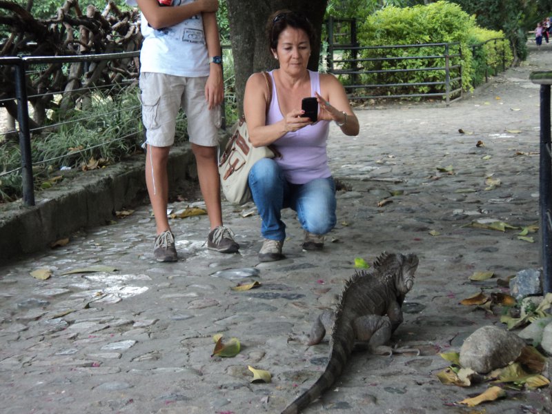 Foto