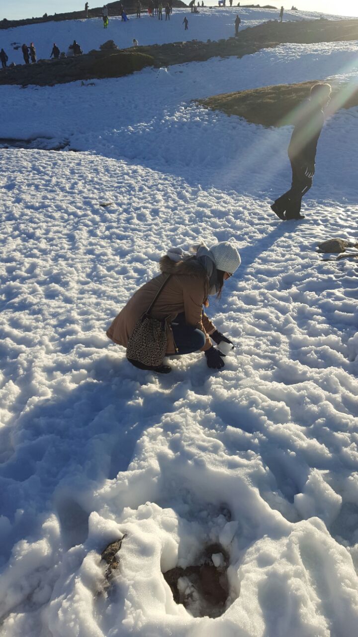 Foto