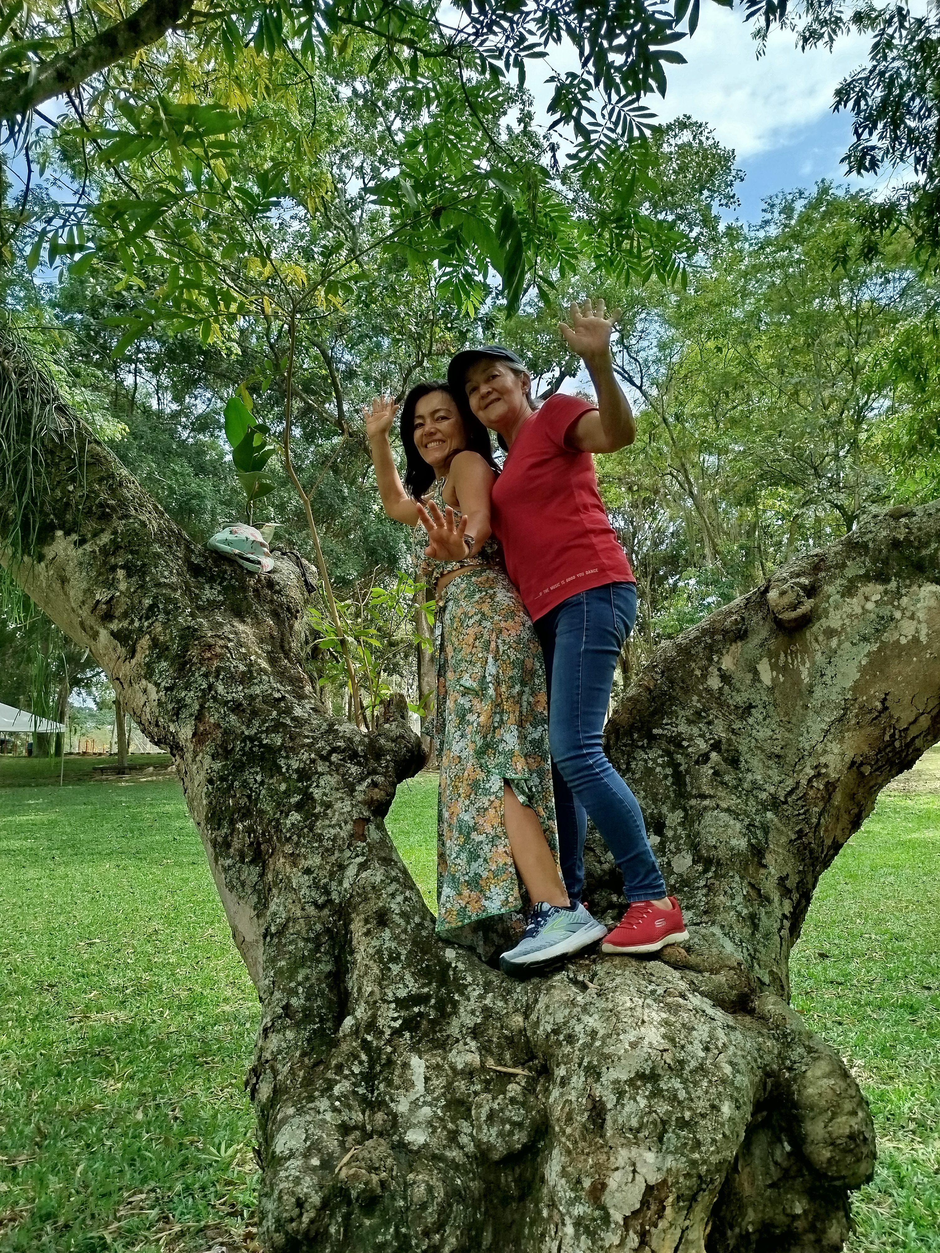 Foto