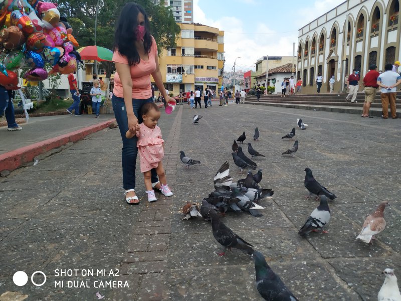 Foto