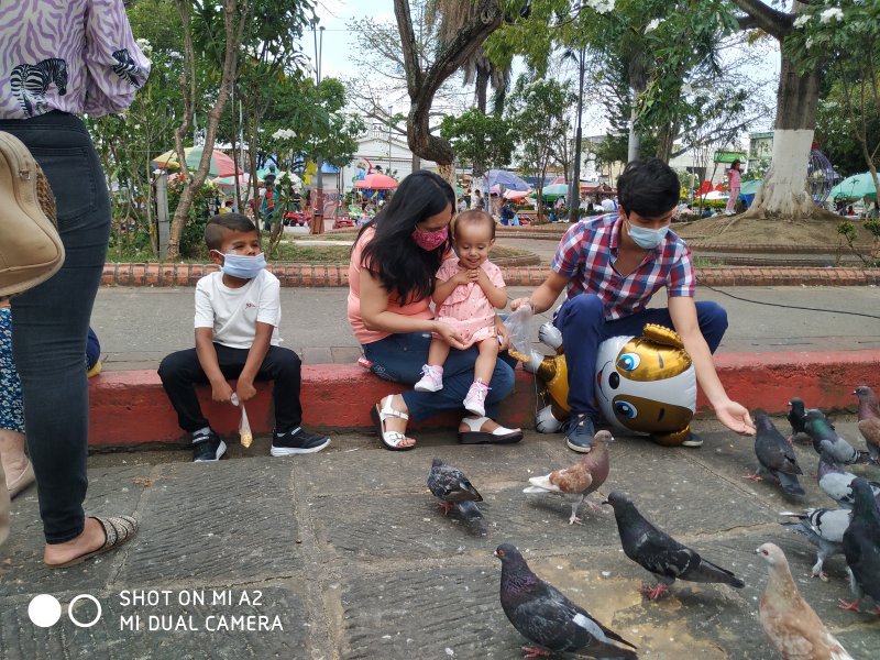 Foto