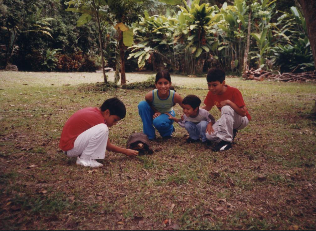 Foto