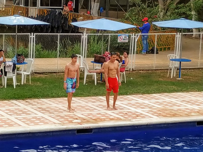 Foto