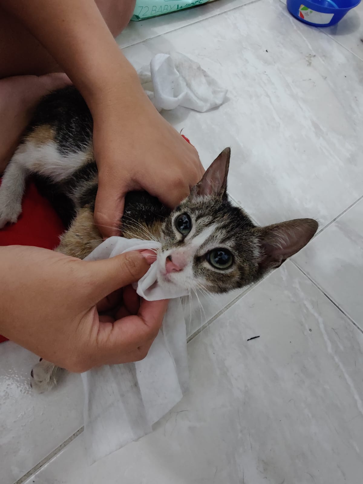 Foto