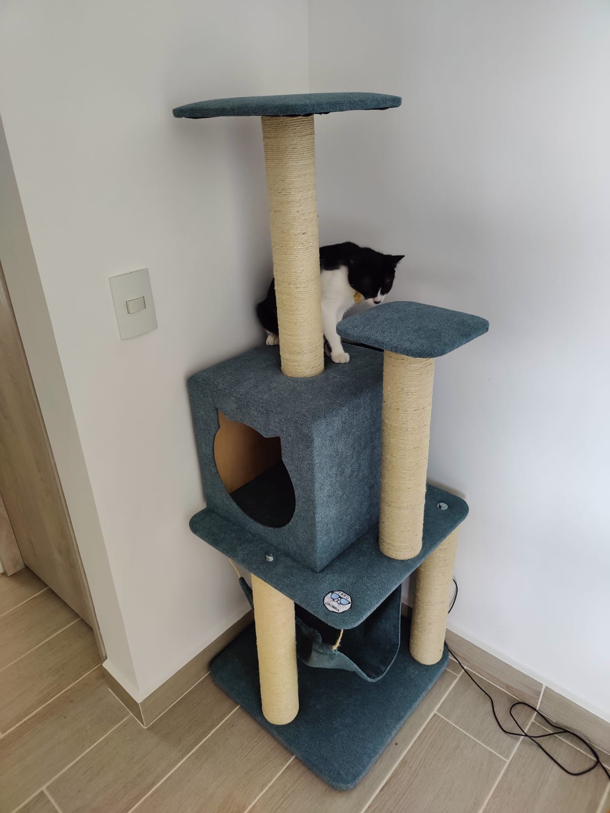 Foto