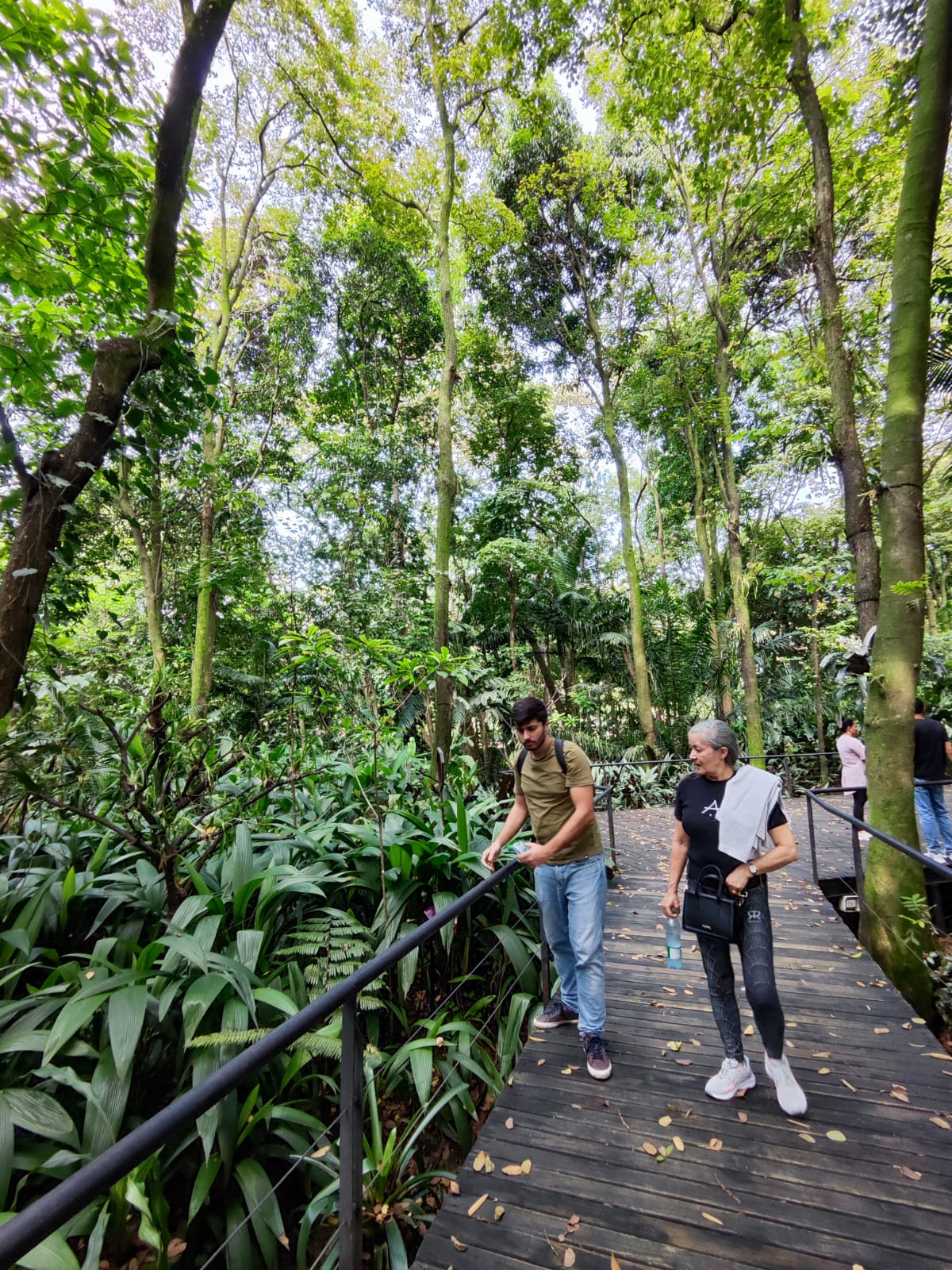 Foto